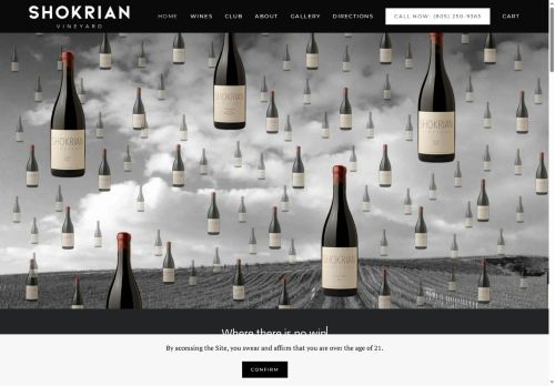 shokvin.com capture - 2025-10-10 02:51:17