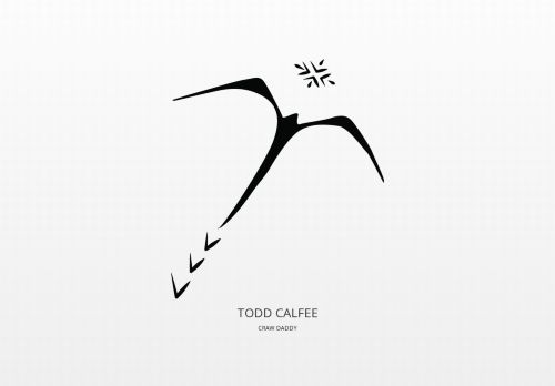 toddcalfee.com capture - 2025-10-10 02:56:32