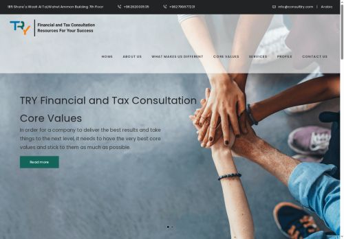 consulttry.com capture - 2025-10-10 09:42:11