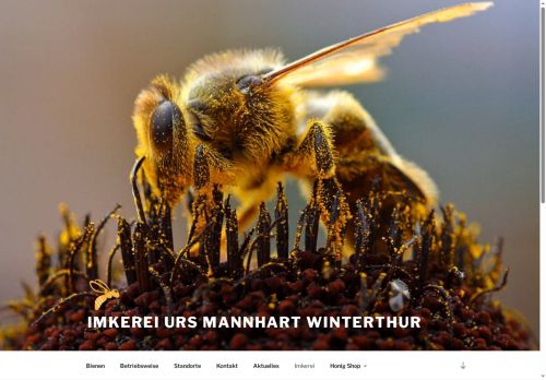 stadthonig-winterthur.ch capture - 2025-10-11 01:03:37