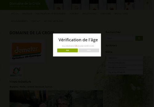 yvanparmelinvins.ch capture - 2025-10-11 03:05:12