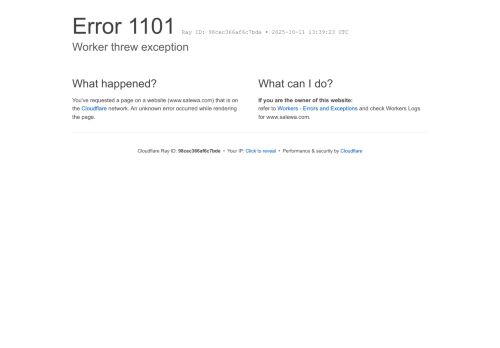 salewa.net capture - 2025-10-11 09:41:18