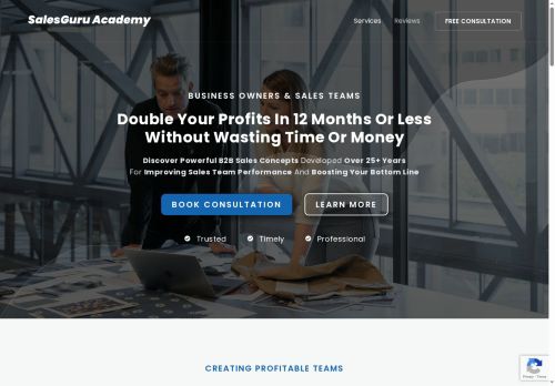 salesguru.academy capture - 2025-10-11 16:39:01