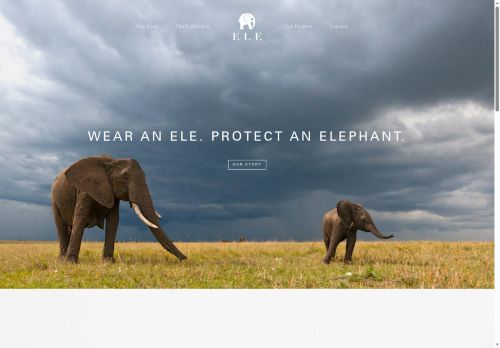elefund.africa capture - 2025-10-11 17:51:06