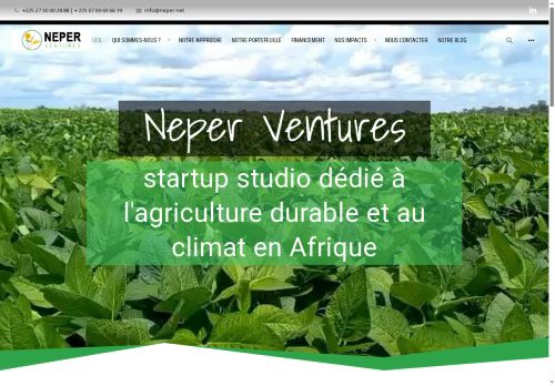 neper.africa capture - 2025-10-11 18:00:34