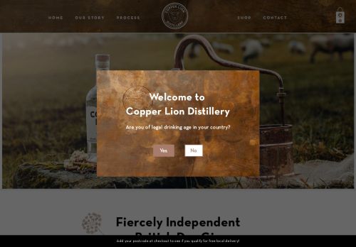 a-vodka.co.uk capture - 2025-10-12 19:38:59