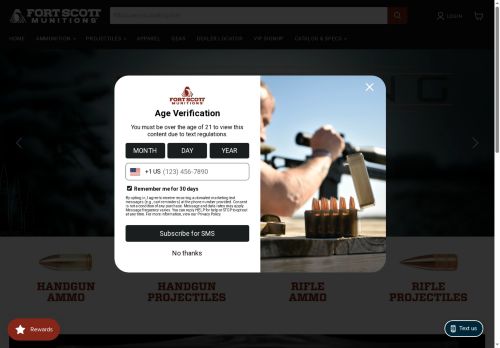 fsm.world capture - 2025-10-13 10:20:34