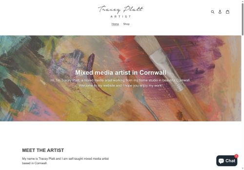 traceyplattartist.co.uk capture - 2025-10-14 05:55:53