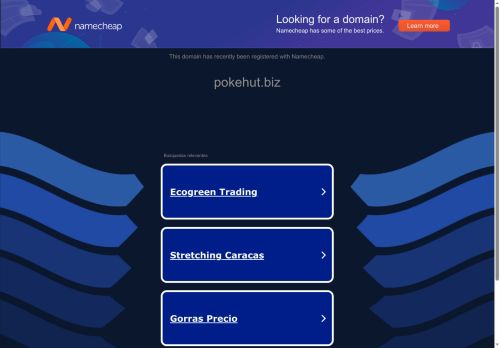 pokehut.biz capture - 2025-10-14 10:28:25