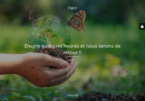 digizz.biz capture - 2025-10-14 11:27:01