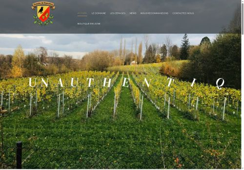 krayenberg.brussels capture - 2025-10-14 15:32:49