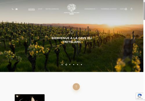 cavedutreyblanc.ch capture - 2025-10-15 00:33:01