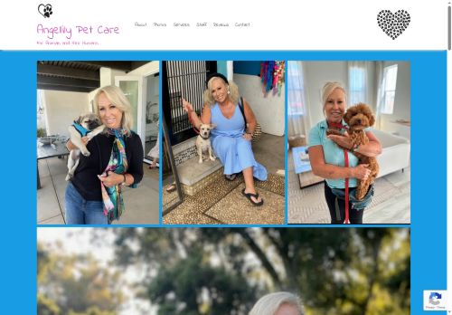 angellilypetcare.com capture - 2025-10-15 15:23:24