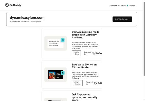 dynamicasylum.com capture - 2025-10-16 08:09:09