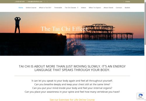 taichieffect.com capture - 2025-10-16 09:45:40