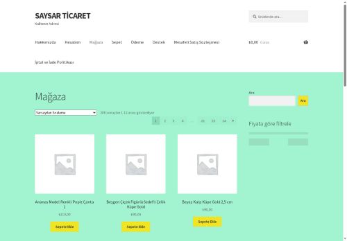 saysar.com capture - 2025-10-16 13:56:58