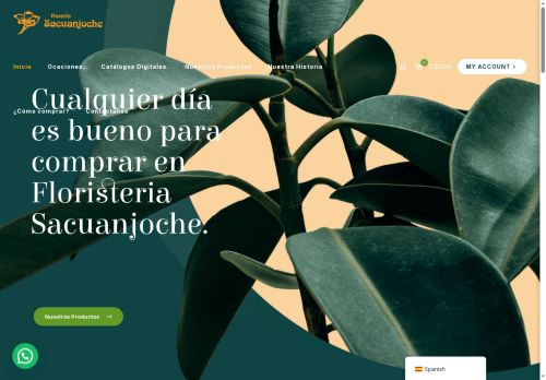 floreriasacuanjoche.com capture - 2025-10-16 21:52:00