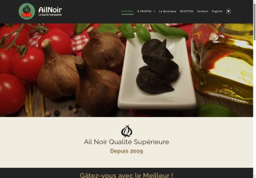 ailnoir.com capture - 2025-10-17 02:34:01