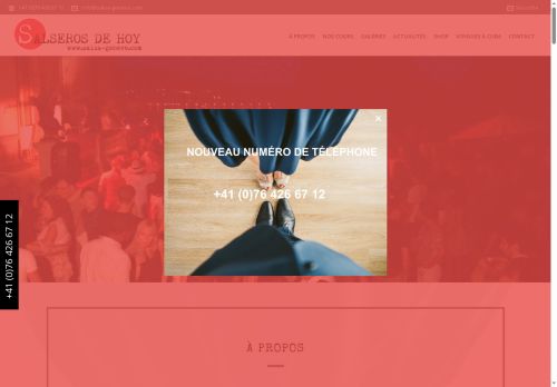 salsa-geneva.com capture - 2025-10-17 07:44:08