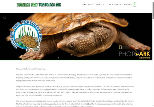 turtleandtortoise.com capture - 2025-10-17 11:08:24