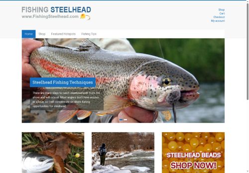 fishingsteelhead.com capture - 2025-10-17 18:28:25