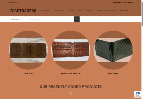 toadtraders.com capture - 2025-10-18 06:07:47