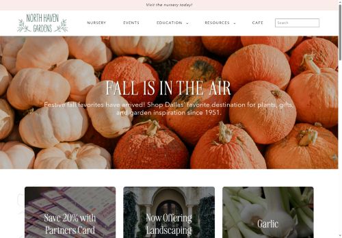 mockturtlesolutions.com capture - 2025-10-18 07:56:03