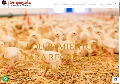 suysegala.com capture - 2025-10-18 15:12:56