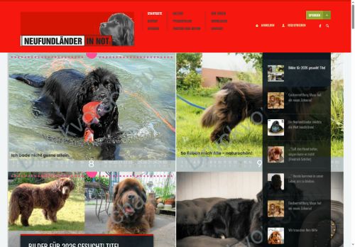 neufi-not.com capture - 2025-10-18 17:04:57