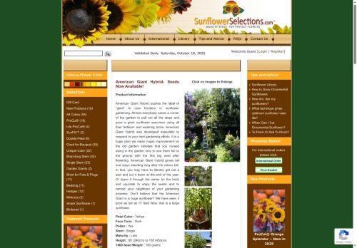giantsunflower.com capture - 2025-10-18 23:05:07