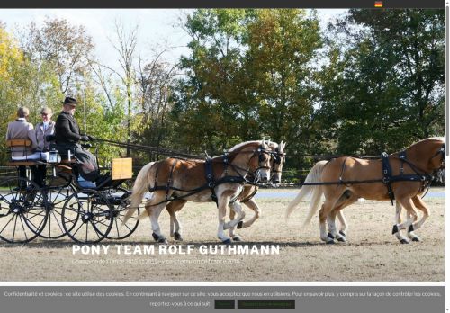 rolfguthmann.com capture - 2025-10-19 01:54:55