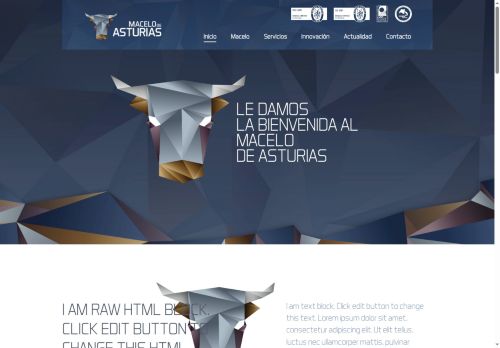 macelodeasturias.com capture - 2025-10-20 12:38:29