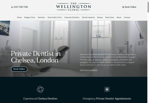The Wellington Clinic capture - 2025-11-17 14:15:03