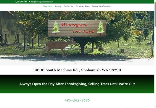 Wintergreen Tree Farm capture - 2025-11-28 13:48:51