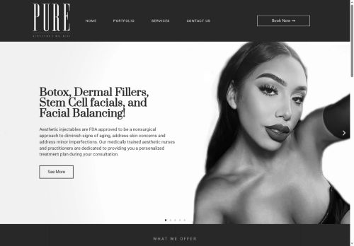 Pure Aesthetics capture - 2025-11-28 16:11:32