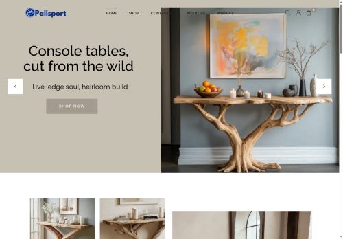 Pallsport capture - 2025-11-28 16:12:29