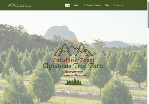 Sunshine Coast Christmas Tree Farm capture - 2025-11-28 16:24:14