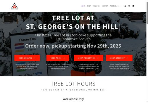 Tree Lot capture - 2025-11-28 16:36:18