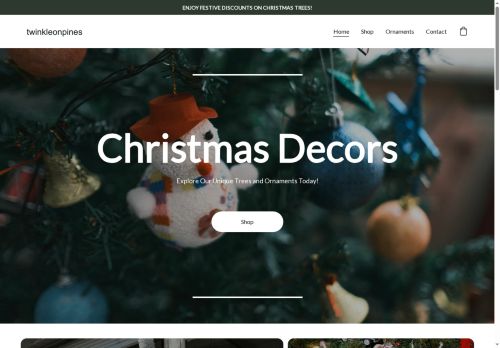 Twinkle On Pines capture - 2025-11-28 16:36:19