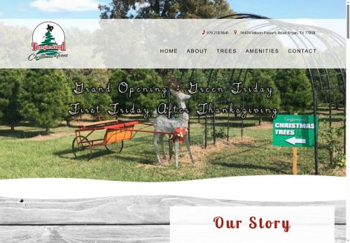 Tanglewood Christmas Trees capture - 2025-11-28 16:37:16