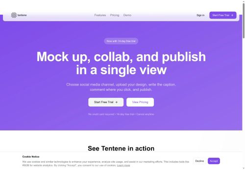 Tentene capture - 2025-11-28 16:39:15