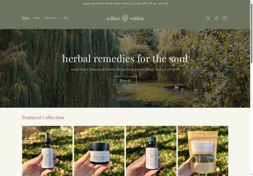 Willow Within capture - 2025-11-28 16:41:58