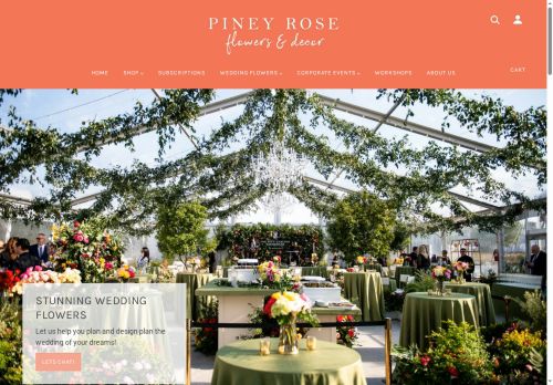 Piney Rose capture - 2025-12-10 17:20:53