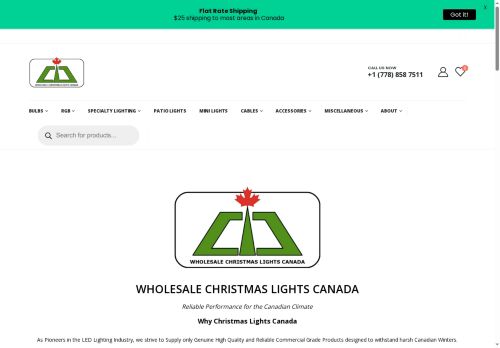 Christmas Lights CA capture - 2025-12-11 09:02:38