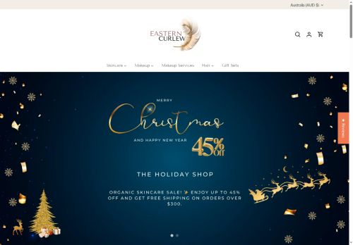 Eastern Curlew capture - 2025-12-11 09:18:58