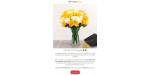 Overnight Flowers discount code