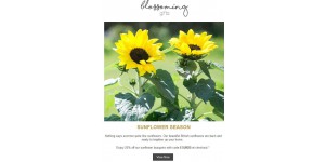 Blossoming Gifts coupon code
