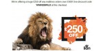 Lion Mattresses discount code
