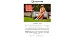 Joybees discount code