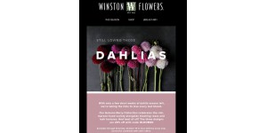 Winston Flowers coupon code